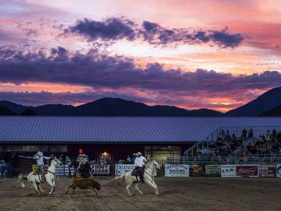 Jackson Hole Rodeo